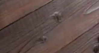 レミアム濃（のう）